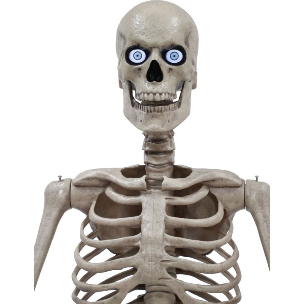Seasonal Visions International – 8ft Towering Skeleton with posable arms  moving jaw – Appliance Oasis